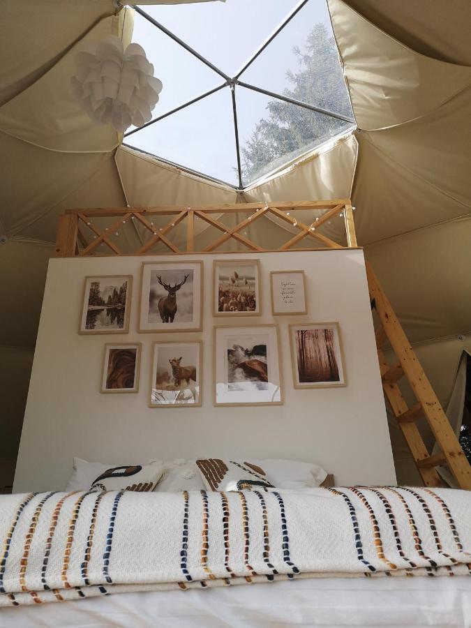 Medve Dome - Luxury Camping In The Middle Of Nature Hotel Vlahita Exterior photo