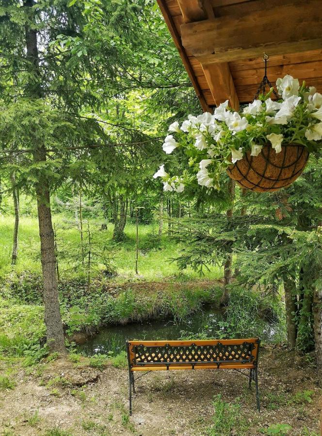 Medve Dome - Luxury Camping In The Middle Of Nature Hotel Vlahita Exterior photo