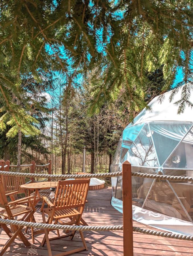 Medve Dome - Luxury Camping In The Middle Of Nature Hotel Vlahita Exterior photo
